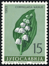 Convallaria majalis